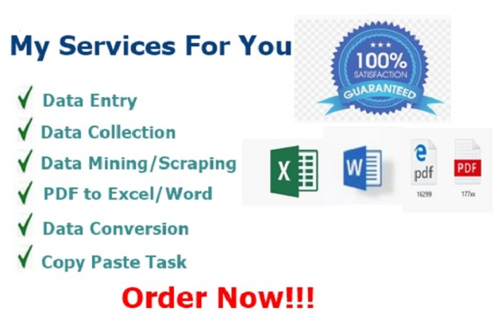 I will do perfect data entry, PDF conversion, Copy paste work, web research