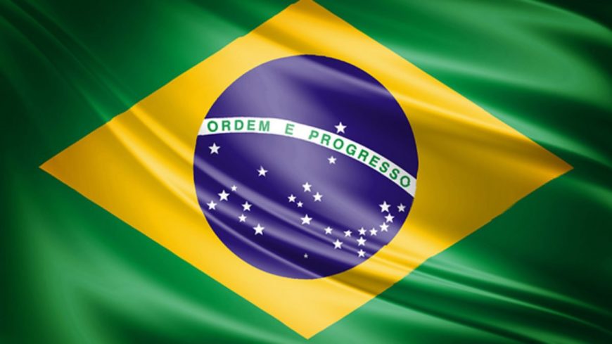 Translation of Chinese Medicine digital books to Brazil.