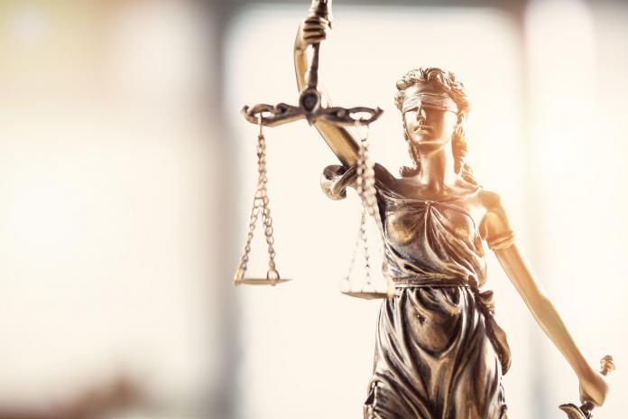 Virtual Assistance in Labor Law and Criminal Law