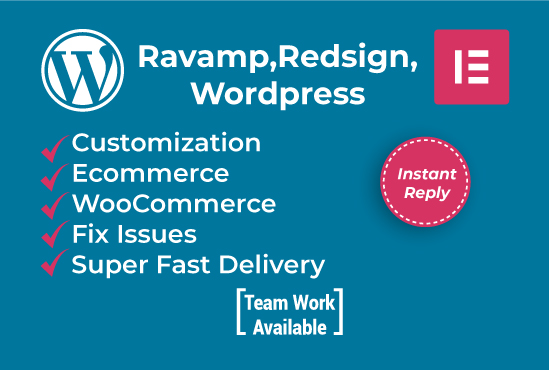 I will deign and redesign wordpress websites with elementor