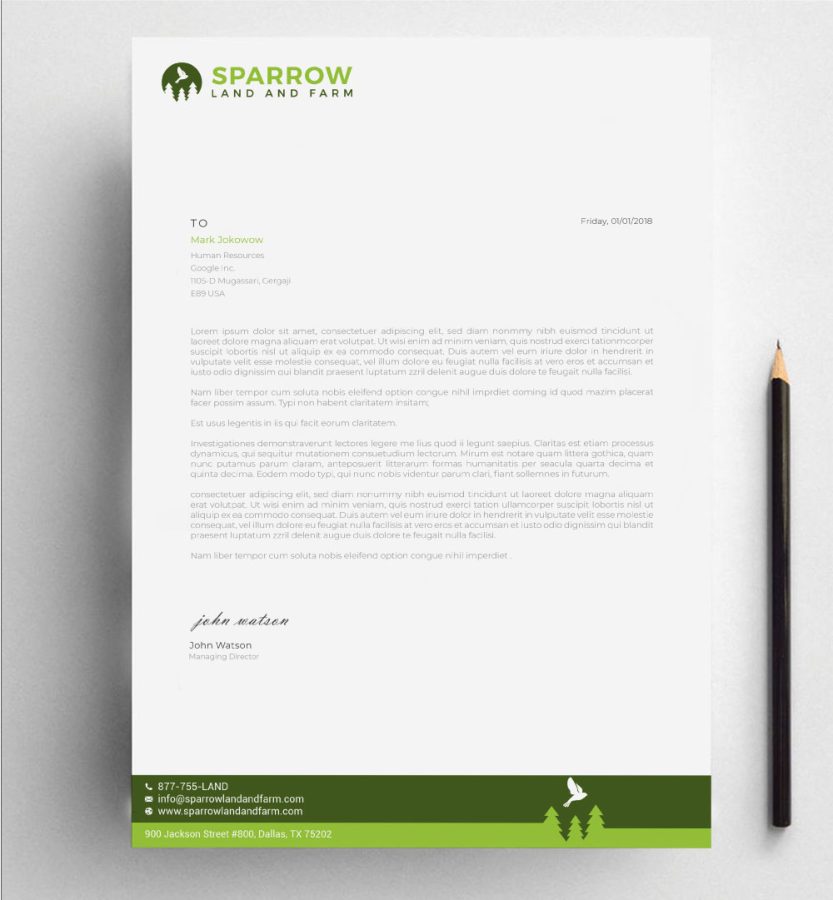 Simple and nice looking letterhead design