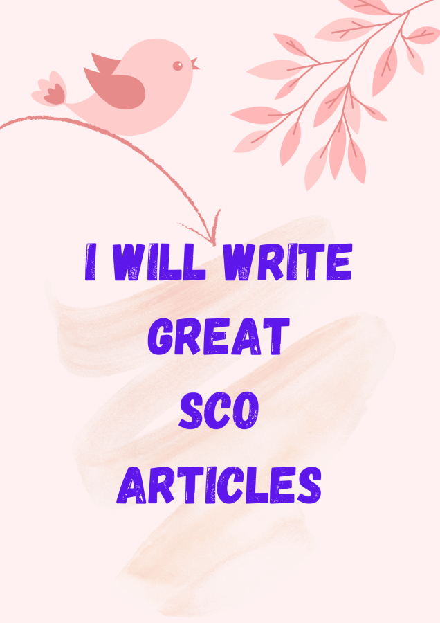 I will write SEO friendly content for your blog or website , Content Writer.