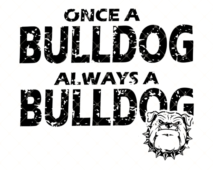 Once A Bulldog Always A Bulldog SVG, Bulldogs SVG, Dogs SVG, Animal SVG, Distressed Grunge SVG, Scho