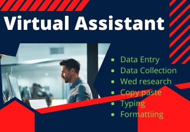 I will do data entry, excel data entry, web research, copy paste for you.