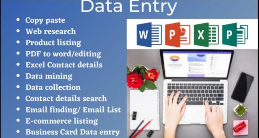 I will data entry, data collection, copy paste, typing work