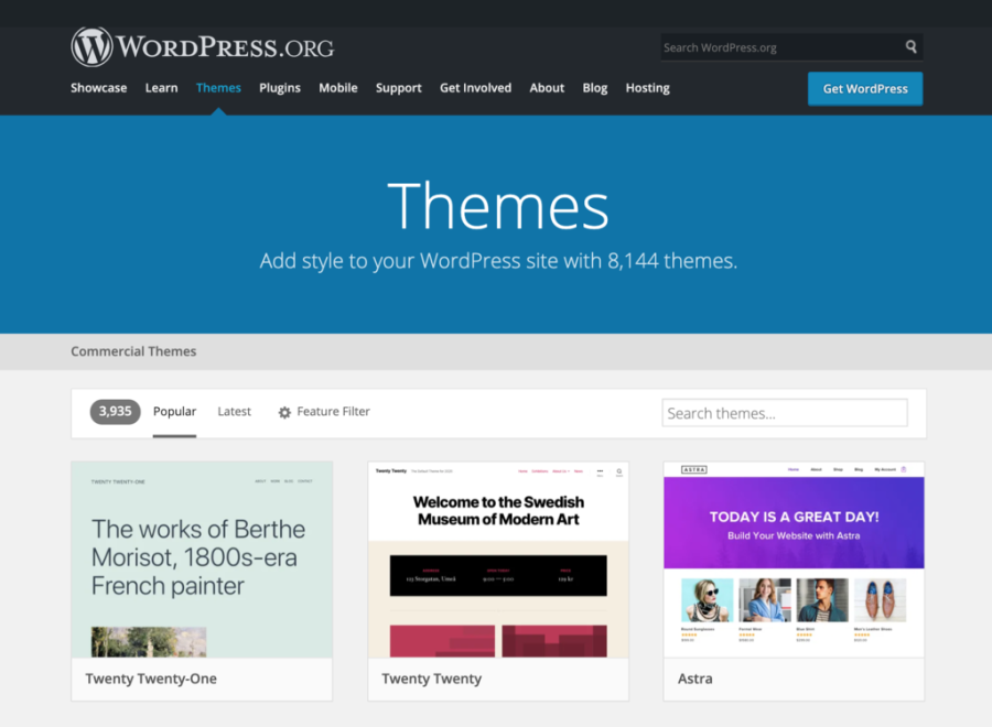 I will design or redesign your website on WordPress site