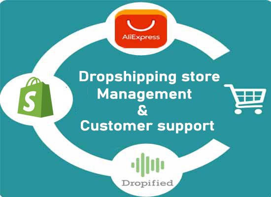 Shopify Store Manager | Virtual Assistant - For a week