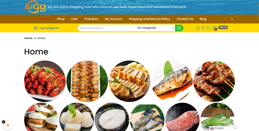 Create a Responsive and SEO friendly professional website