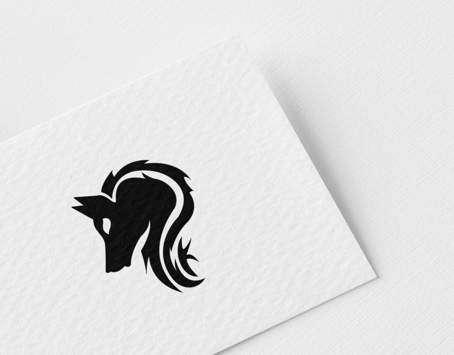 I will design amazing logo design for your business 
