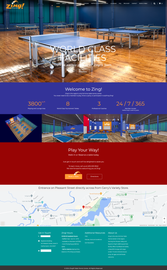 I will design or redesign professional wordpress website or customization with elementor pro