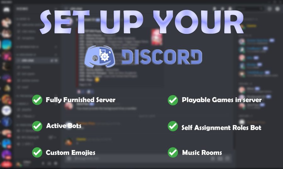 I will setup a discord server for your NFT. DAO and community 