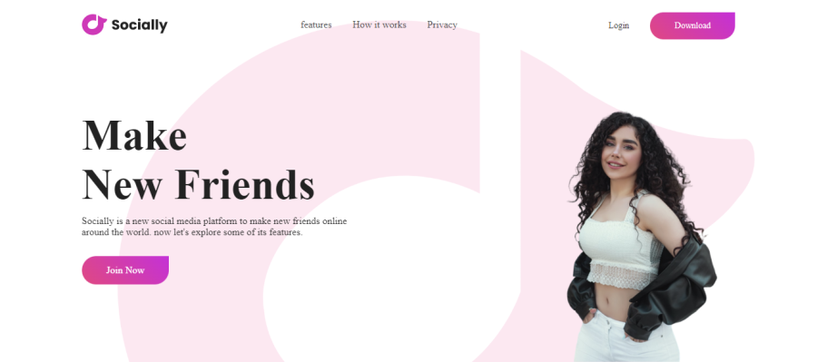 Get a professional WordPress Website