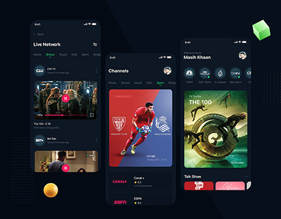 Professional design of the application interface and your website
