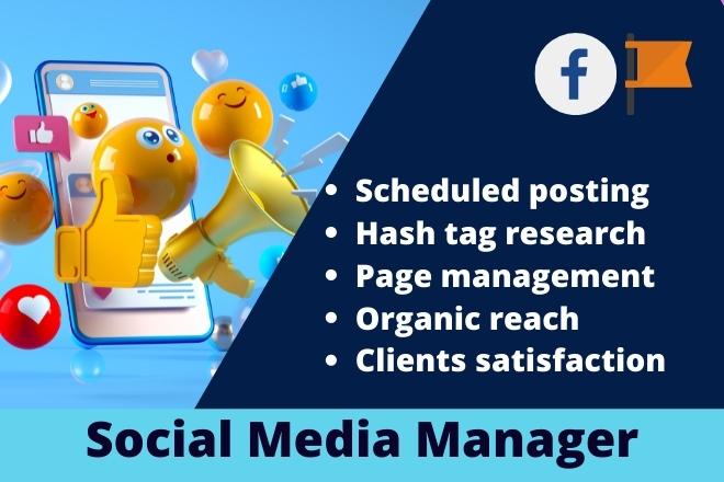 I will be your trusted Facebook page manager
