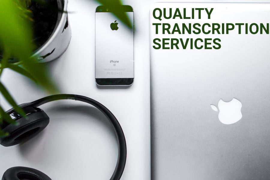 I will provide professional and prompt data entry service