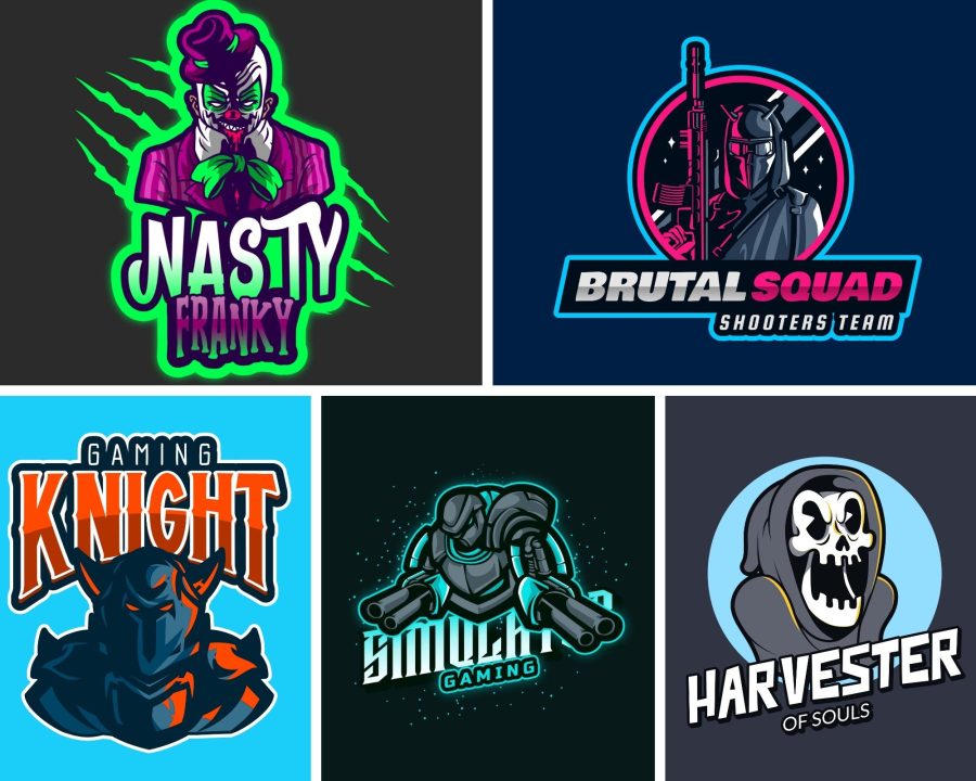 Design an amazing and creative mascot, character or cartoon logo for you in just 48 hours 