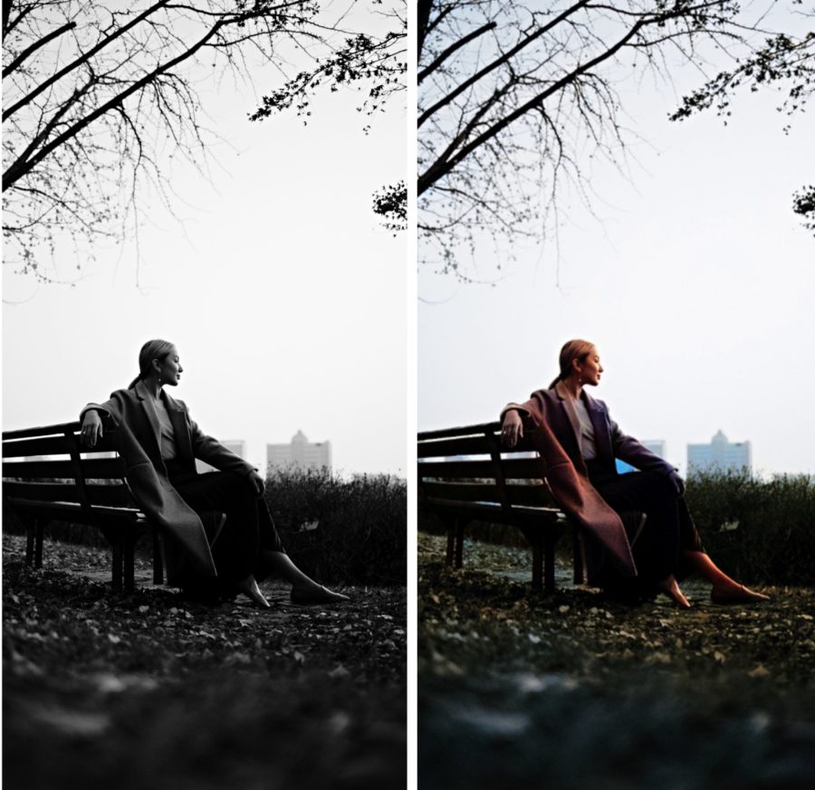 I will colorize pictures professionally