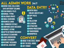 i will do data entry and copy past and translation expect