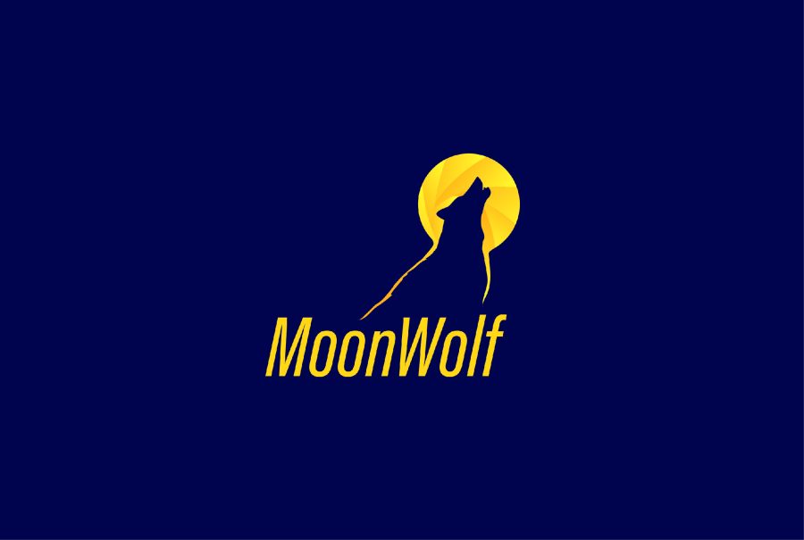 I will design 3 modern minimalist logo design