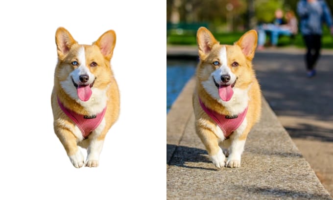 I will remove background from images and resize products photos