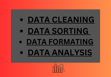 i will clean sort and format your excel data 