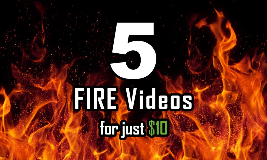 I will make all 5 Fire, Flame logo intro video animations