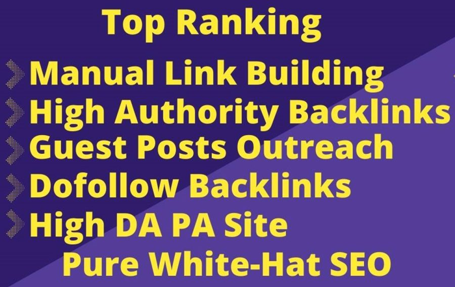 I will provide monthly SEO service for WordPress websites