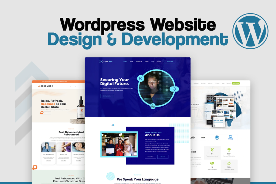 I will build wordpress website
