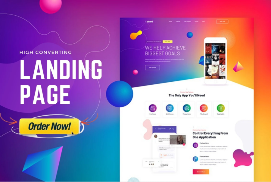 I will build wordpress website