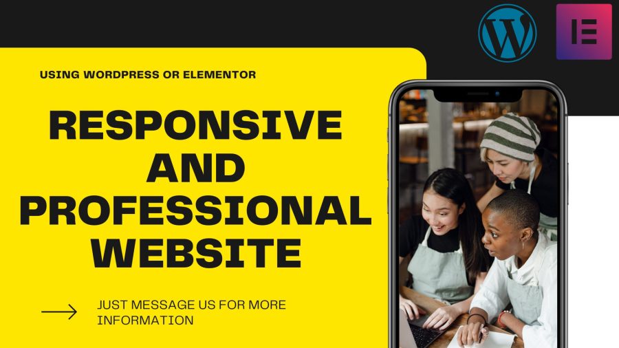 I Can Create A Professional Website Using Wordpress