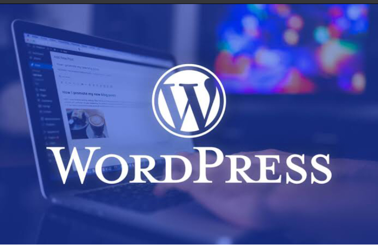 Create a unique Wordpress and Shopify store for your business 