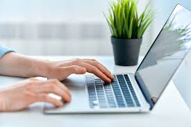 800-1000 I will write a search engine optimization article for your website , blog post 