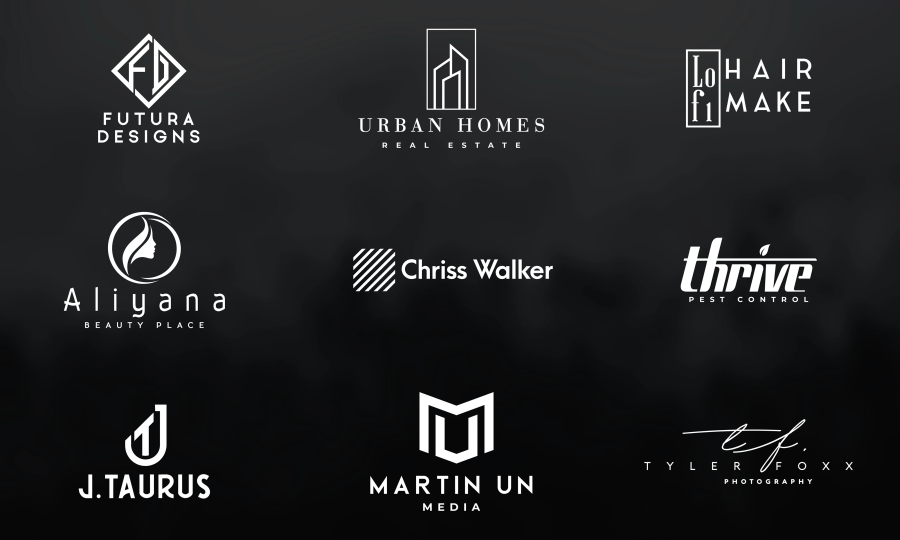I will do professional minimalist business logo design within 24 hours