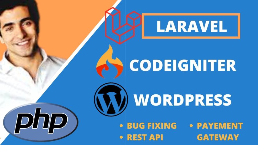 I will create web application using HTML, php, codeigniter, laravel