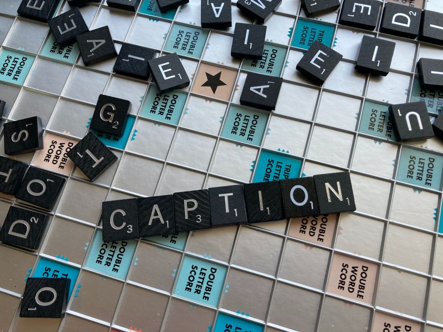 will make Professional caption in English Hindi and Marathi for business