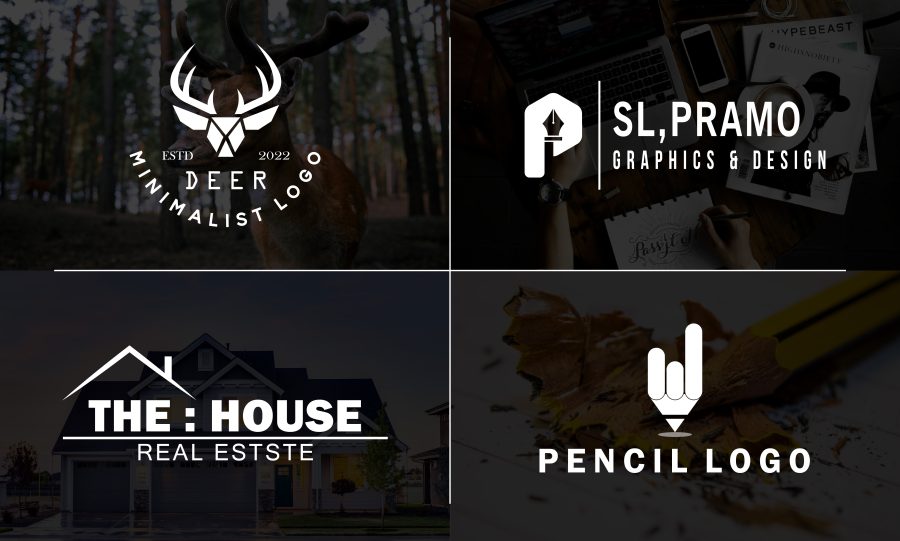 I will 2 Concepts Design a Professional Minimalist Business Logo Design