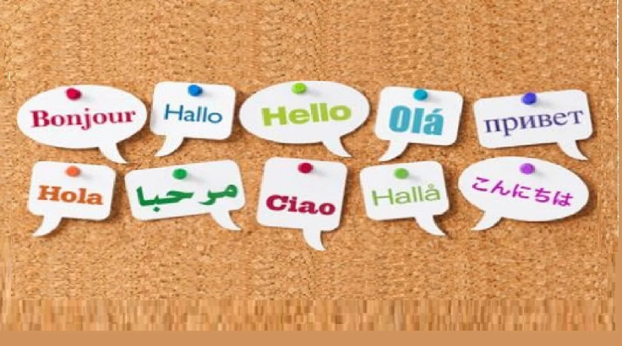 I will translate text to any language like english to czech, polish slovak french