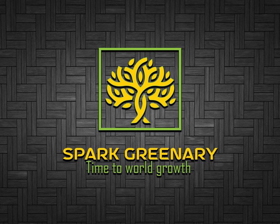 I will design professional business logo for you brand