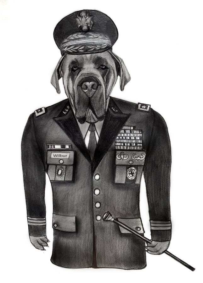 I will draw pencil sketch. Portrait of your dog, cat, bird, animal