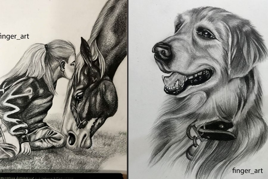 I will draw pencil sketch. Portrait of your dog, cat, bird, animal