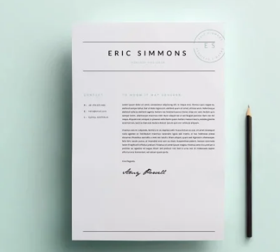 I will write and design your CV in english or german