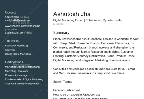 I will professionally edit your resume CV rewrite, and edit it to a professional format 