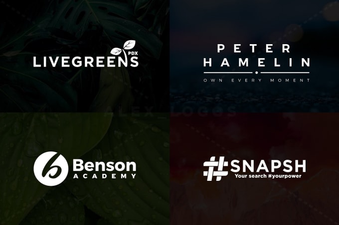 I will create Business Logo Design 
