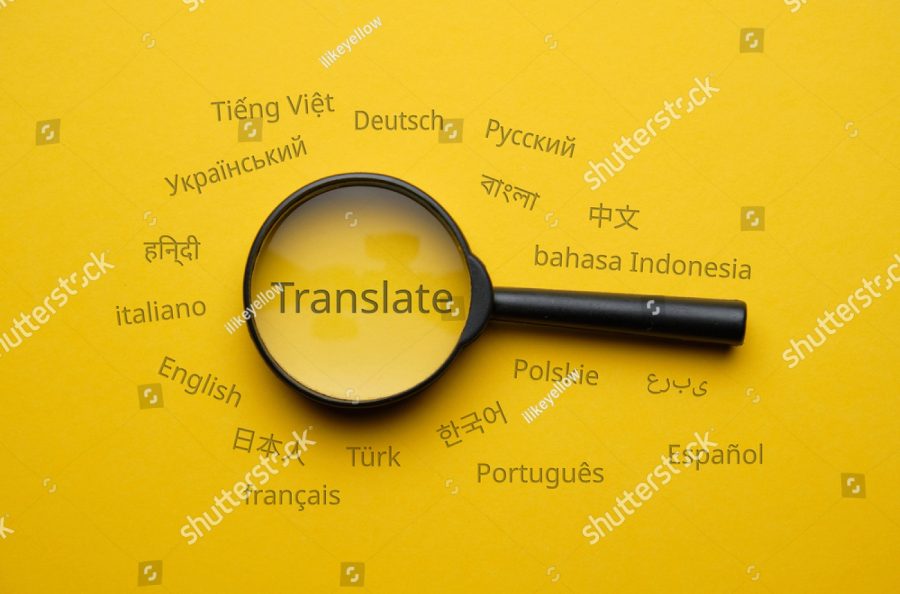 I will do translate English to Urdu or Urdu to English 