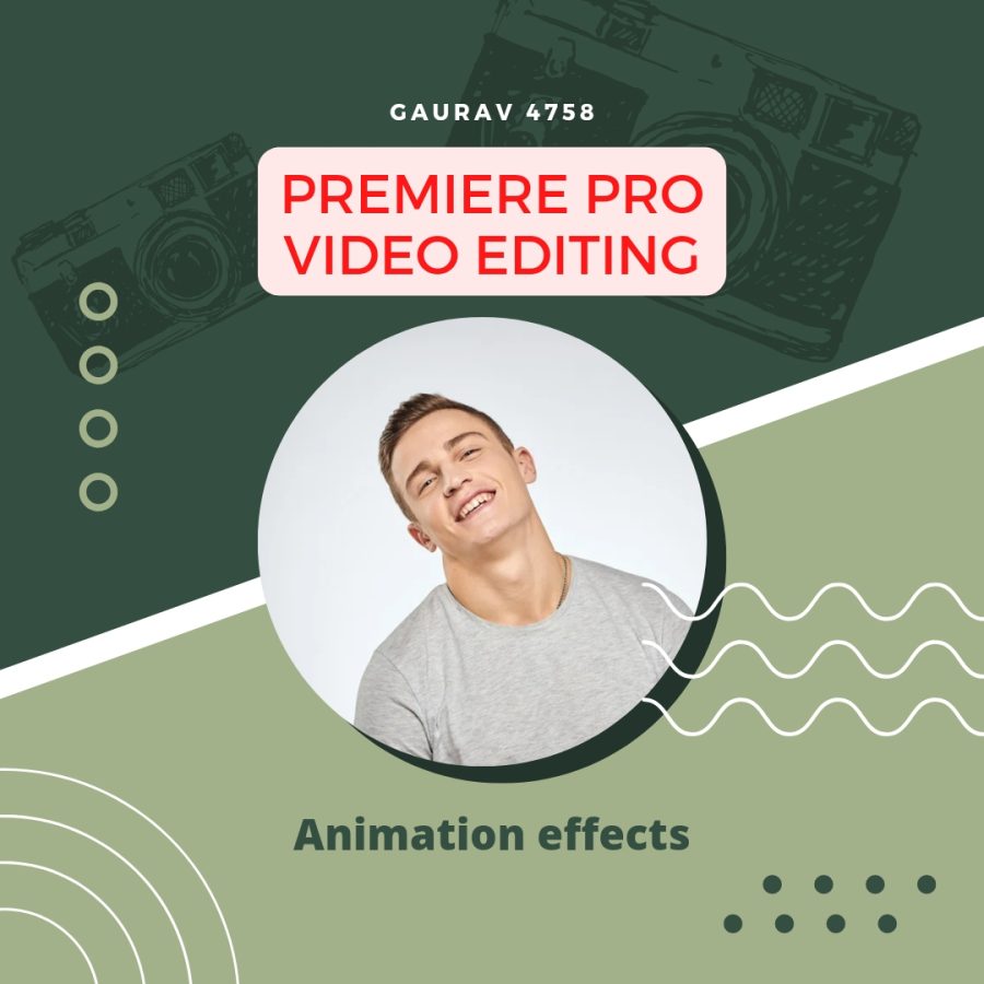 I am A professional video editor premiere Pro 