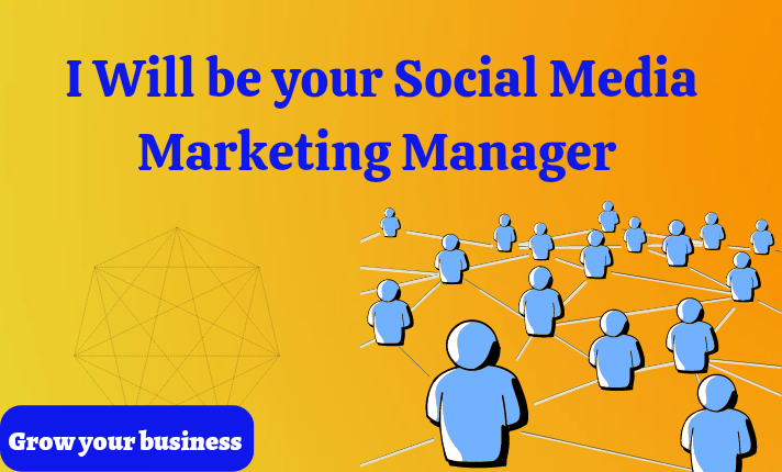 I will manage your social media accounts 