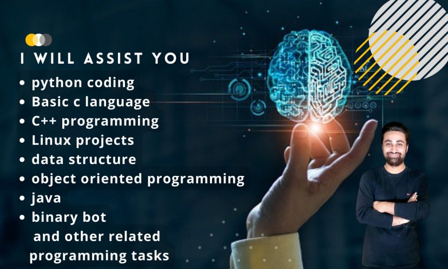 I will do python coding, basic c, cpp programming, java, linux projects and binary task