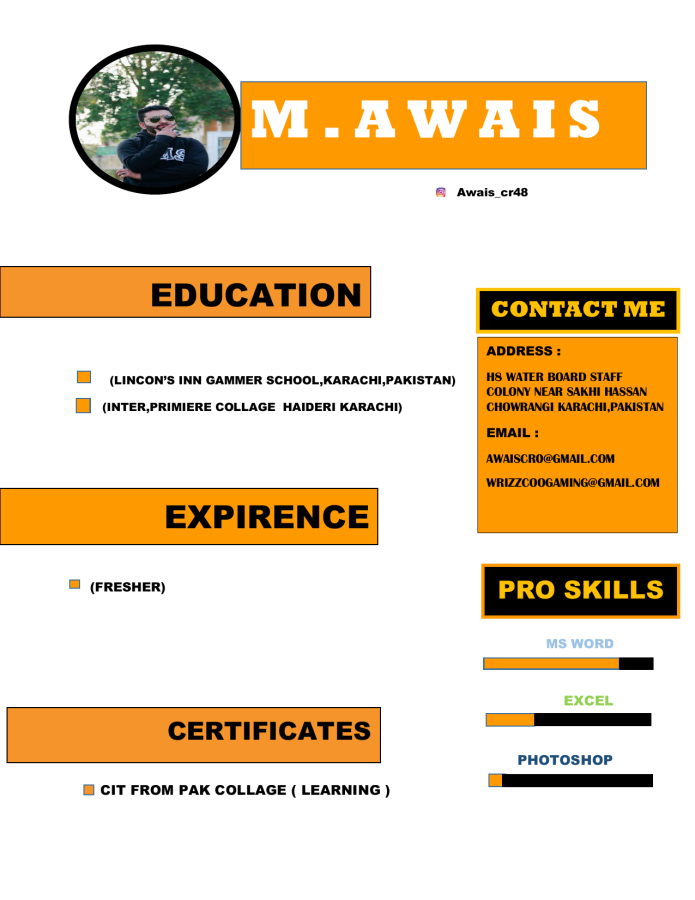 Provide professional resume writing services