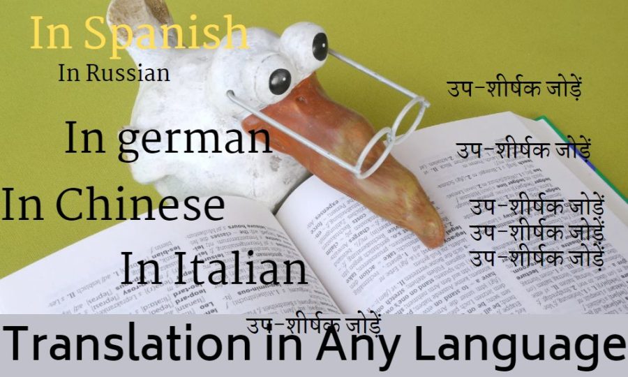 translation in any languge from an expert.