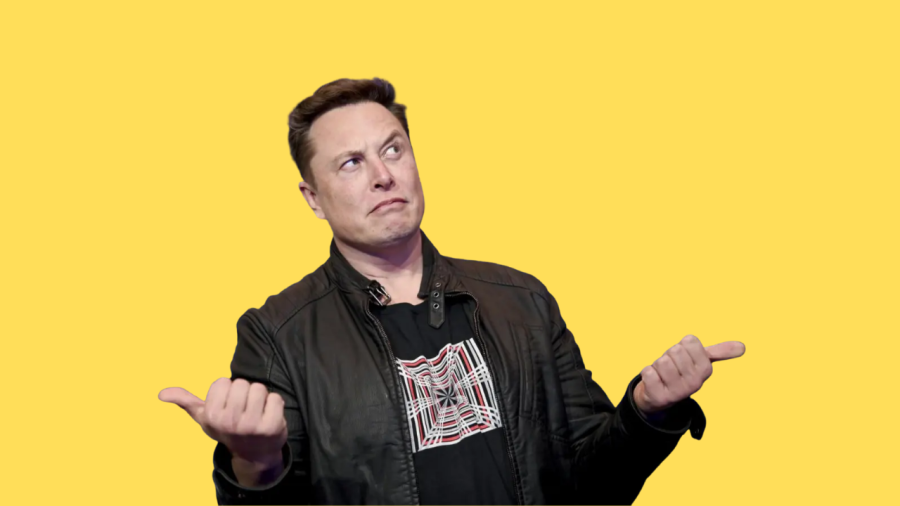 I will make your profile picture